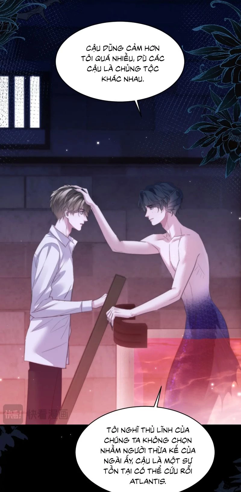 Desharow Nhân Ngư Chapter 111 - 9