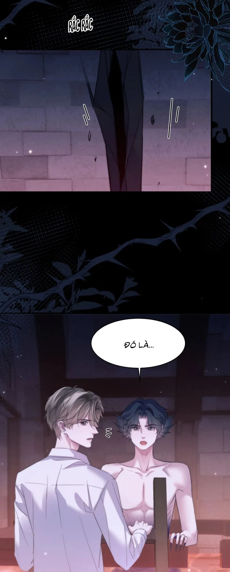 Desharow Nhân Ngư Chapter 111 - 11