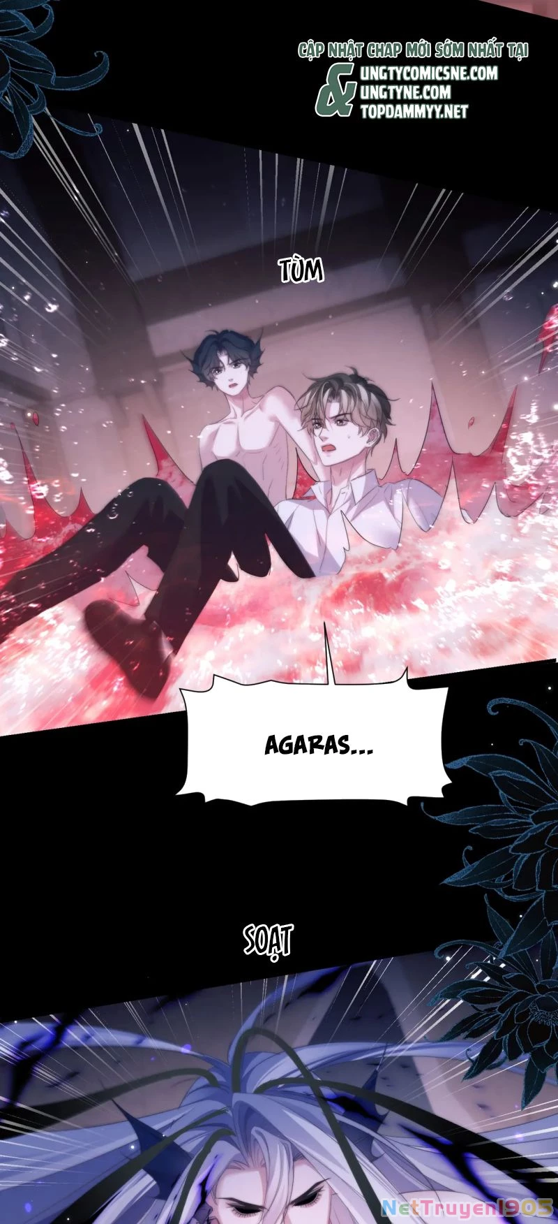 Desharow Nhân Ngư Chapter 111 - 14