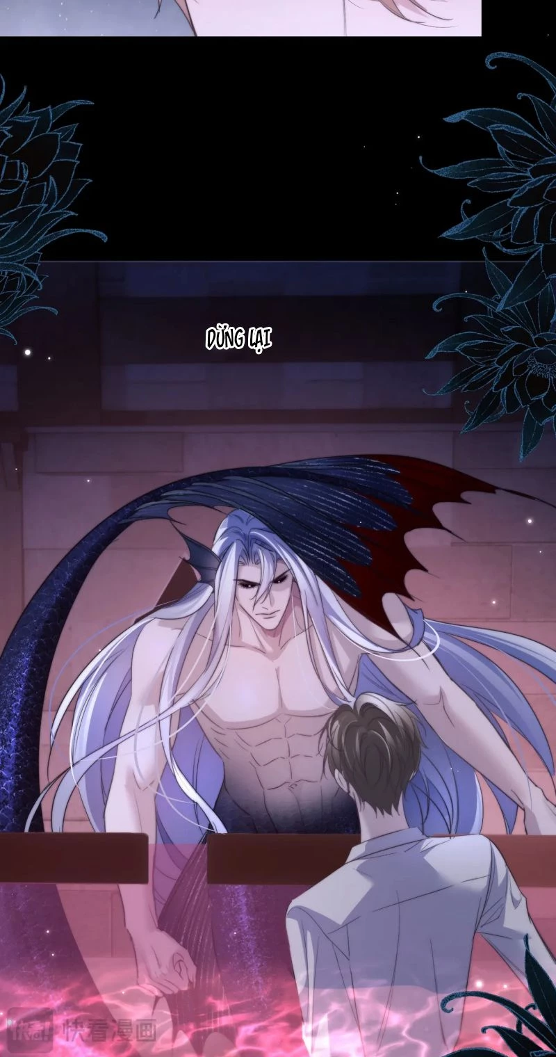 Desharow Nhân Ngư Chapter 111 - 20