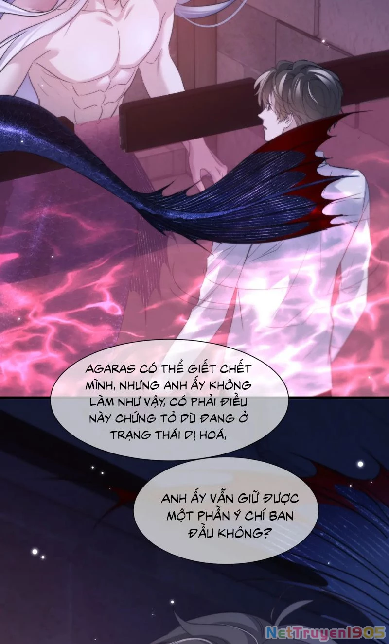 Desharow Nhân Ngư Chapter 111 - 24