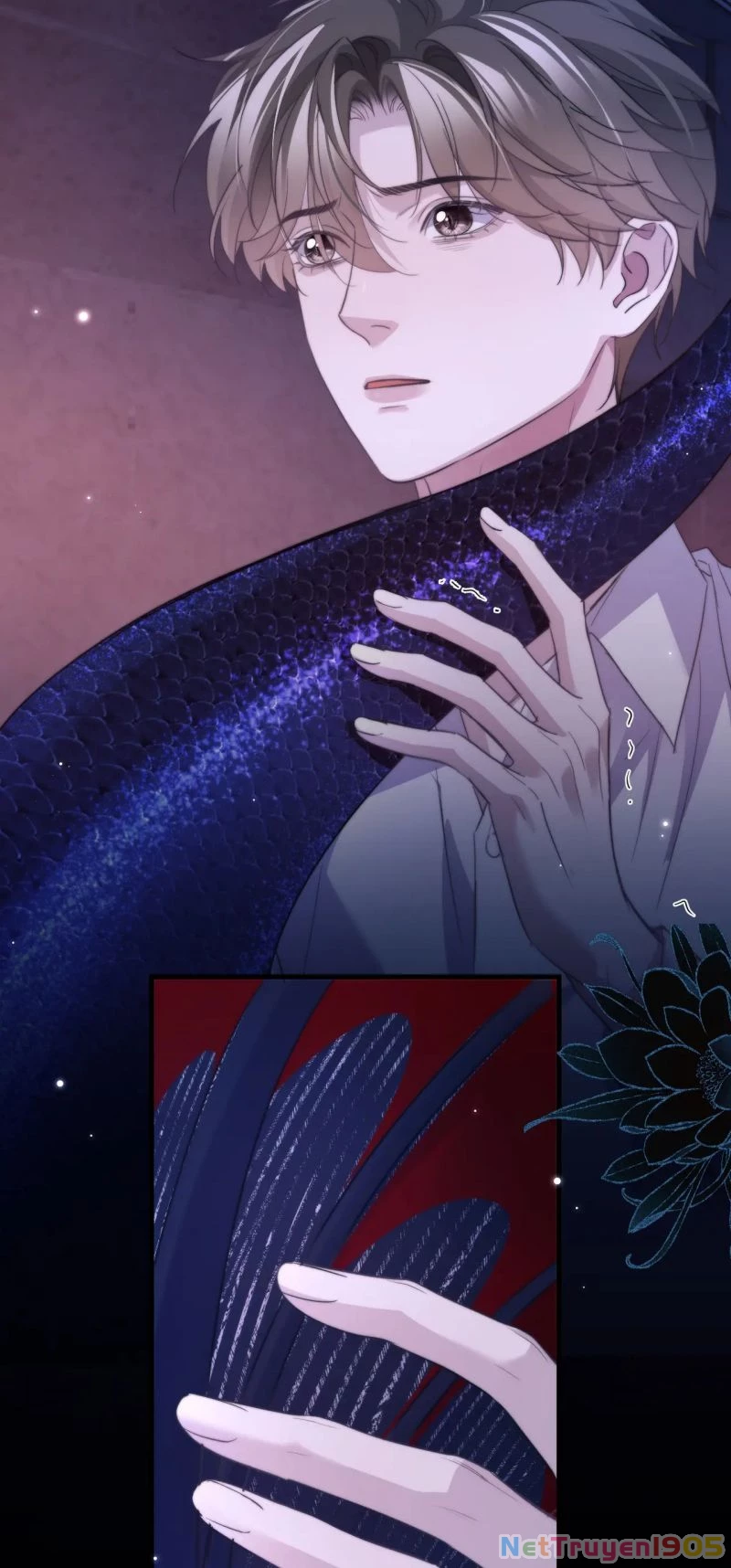 Desharow Nhân Ngư Chapter 111 - 25