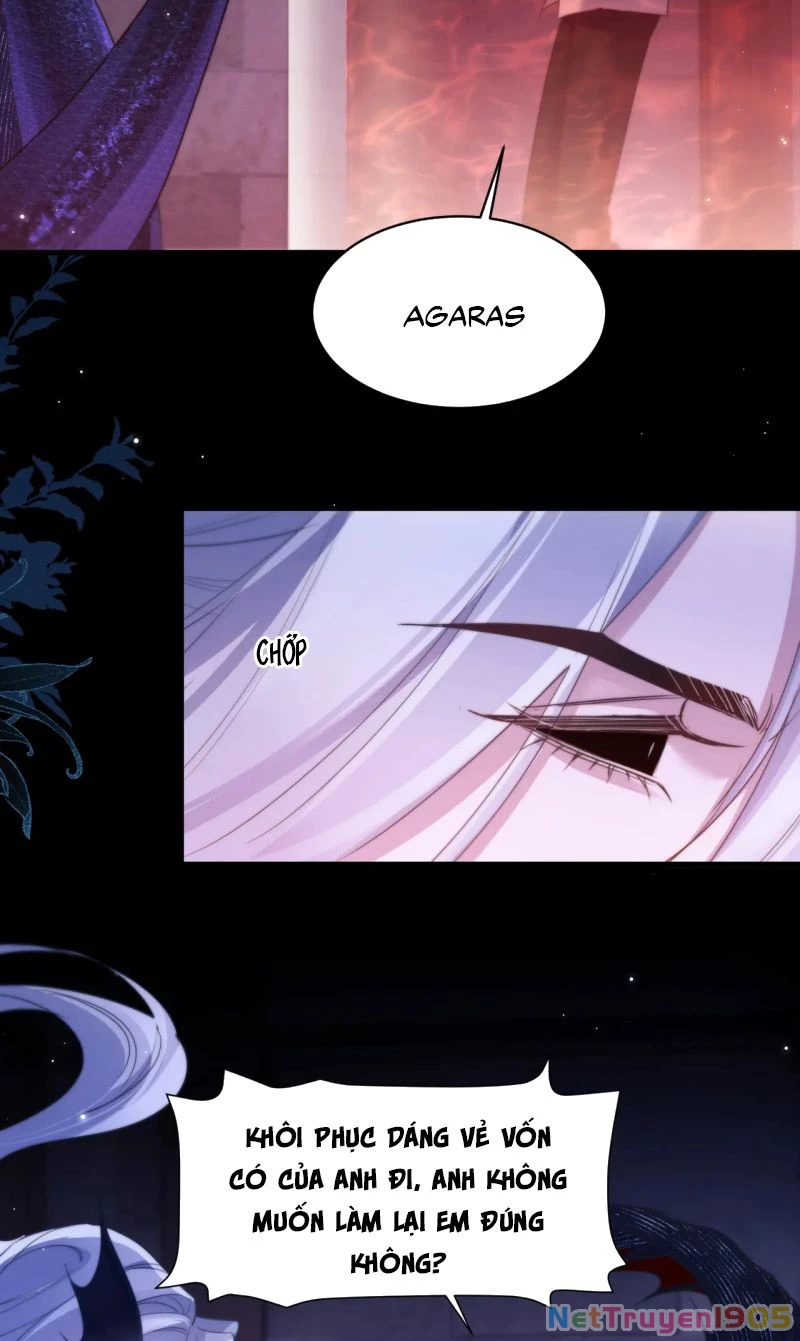 Desharow Nhân Ngư Chapter 111 - 27