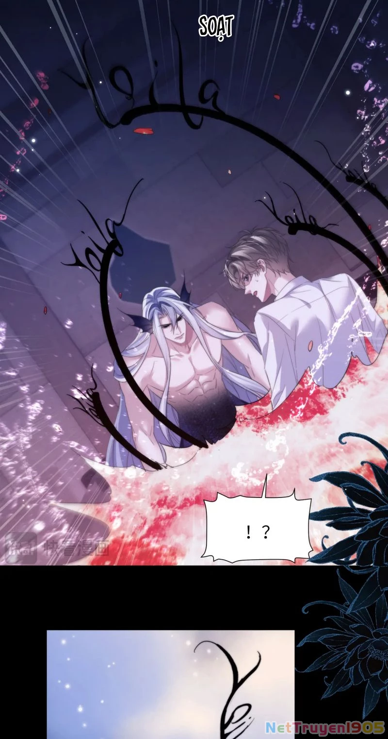 Desharow Nhân Ngư Chapter 111 - 29