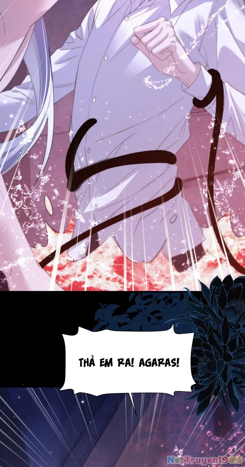 Desharow Nhân Ngư Chapter 111 - 31