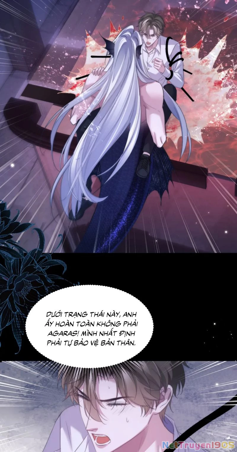 Desharow Nhân Ngư Chapter 111 - 32