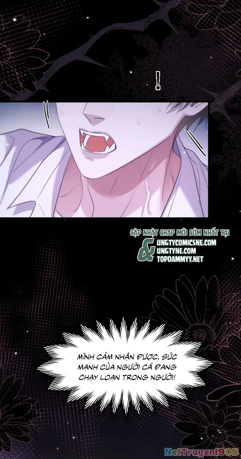 Desharow Nhân Ngư Chapter 111 - 35