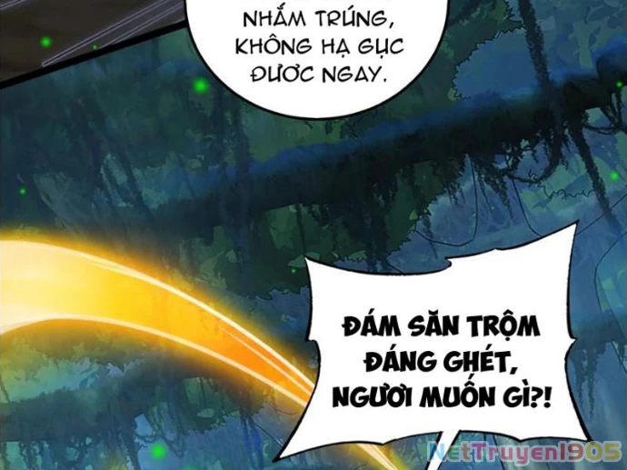 Tinh Thú Sư Mạnh Nhất Chapter 25 - 49
