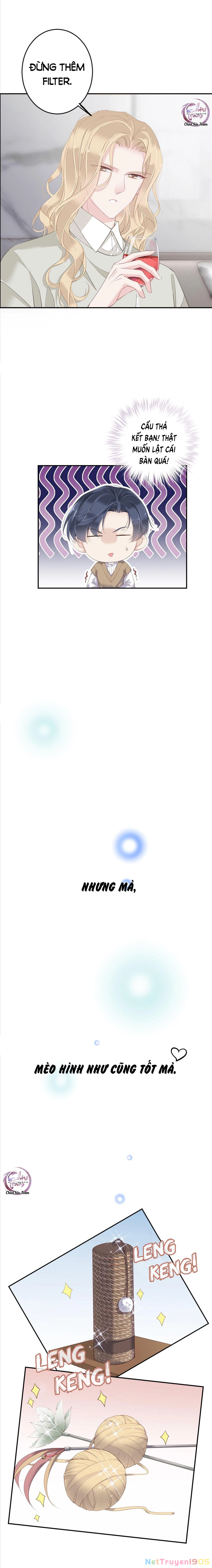 Cuộc Mai Mối Vượt Giống Loài Chapter 1 - 6
