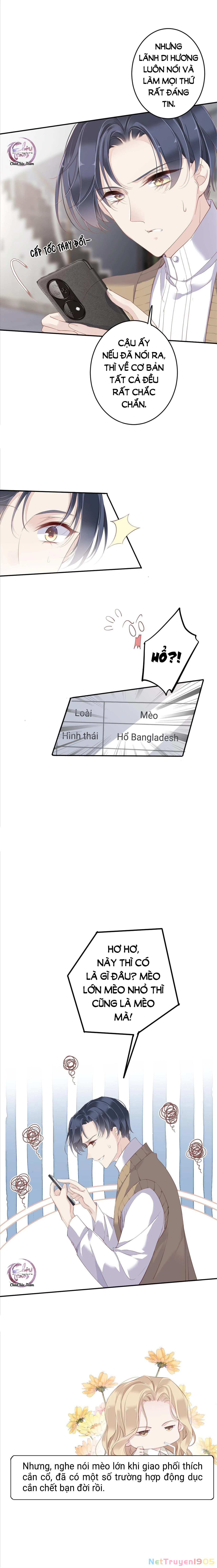 Cuộc Mai Mối Vượt Giống Loài Chapter 1 - 8
