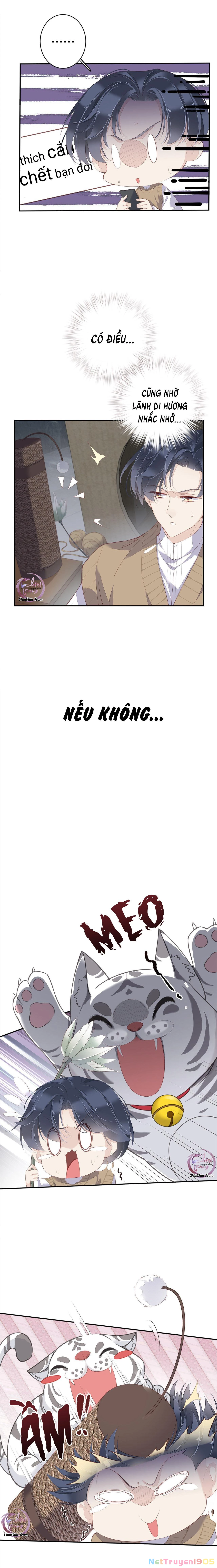 Cuộc Mai Mối Vượt Giống Loài Chapter 1 - 9