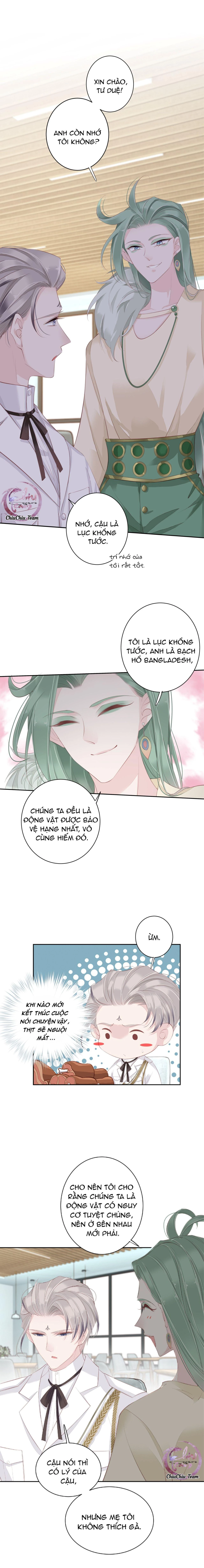 Cuộc Mai Mối Vượt Giống Loài Chapter 3 - 8