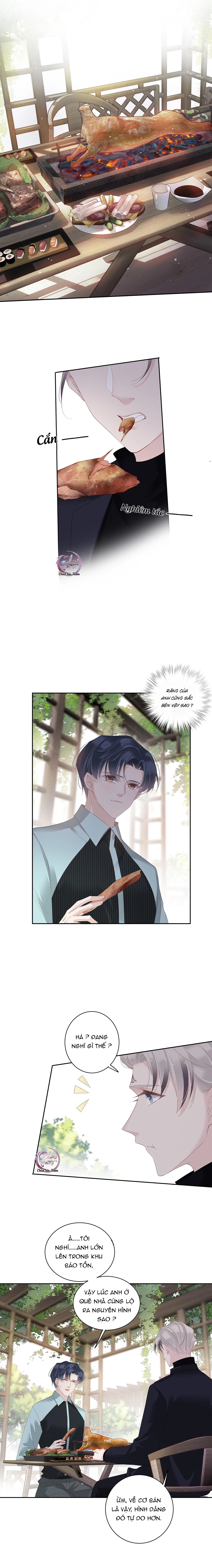 Cuộc Mai Mối Vượt Giống Loài Chapter 16 - 7