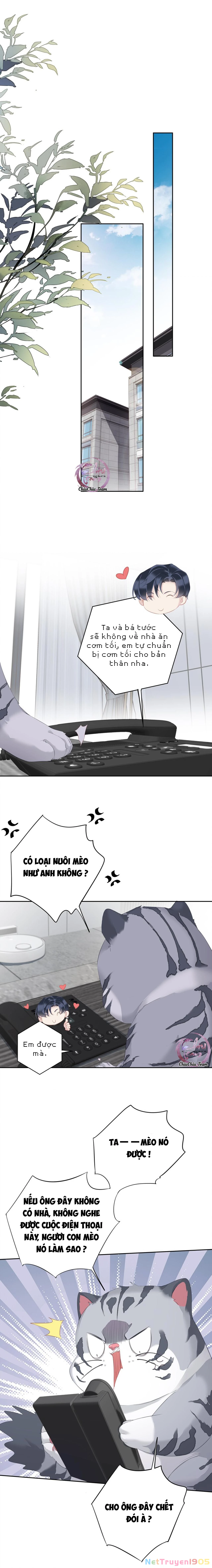 Cuộc Mai Mối Vượt Giống Loài Chapter 34 - 5