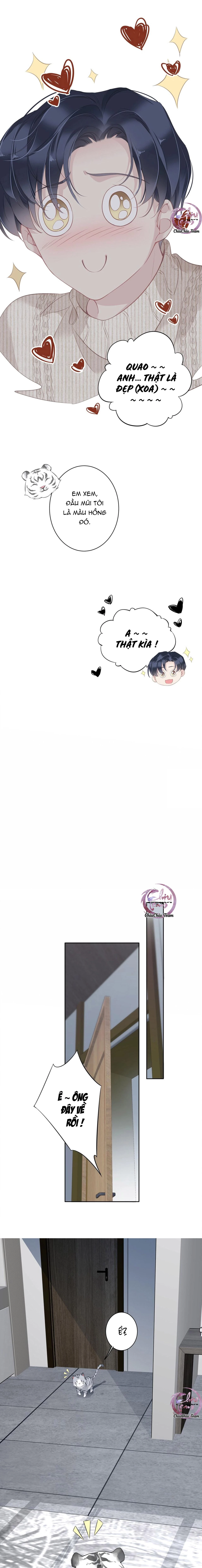 Cuộc Mai Mối Vượt Giống Loài Chapter 35 - 5