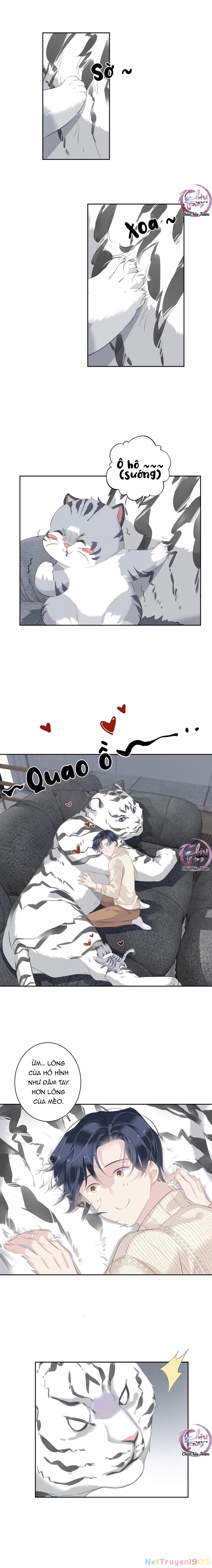 Cuộc Mai Mối Vượt Giống Loài Chapter 35 - 7