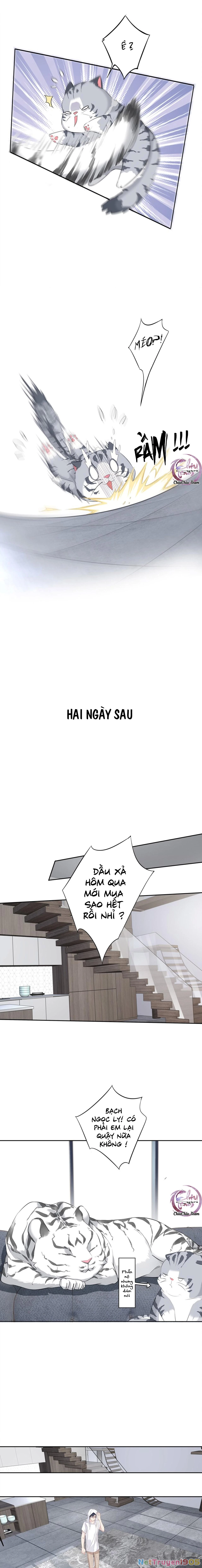 Cuộc Mai Mối Vượt Giống Loài Chapter 35 - 8