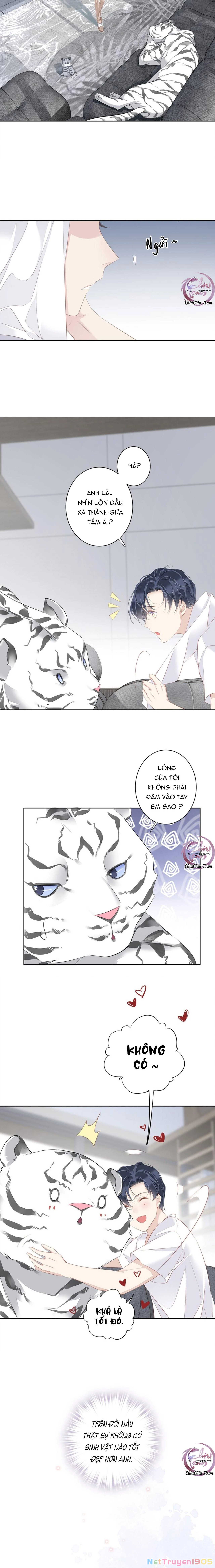 Cuộc Mai Mối Vượt Giống Loài Chapter 35 - 9