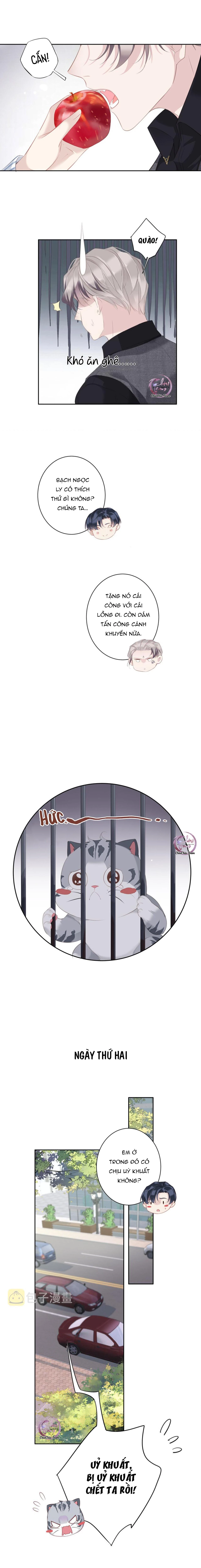 Cuộc Mai Mối Vượt Giống Loài Chapter 37 - 3