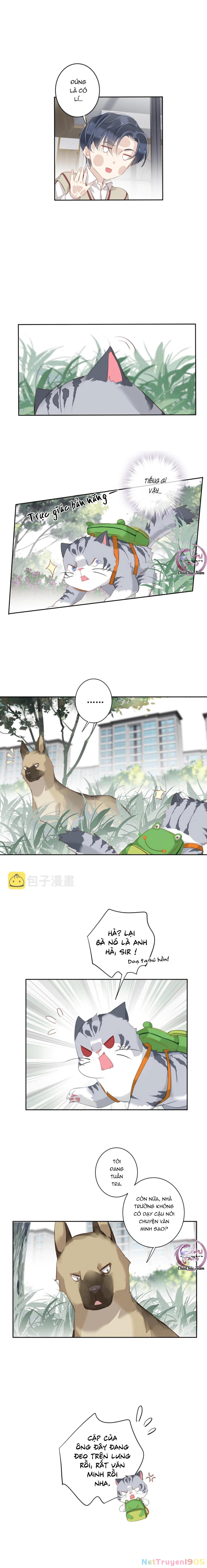 Cuộc Mai Mối Vượt Giống Loài Chapter 49 - 6