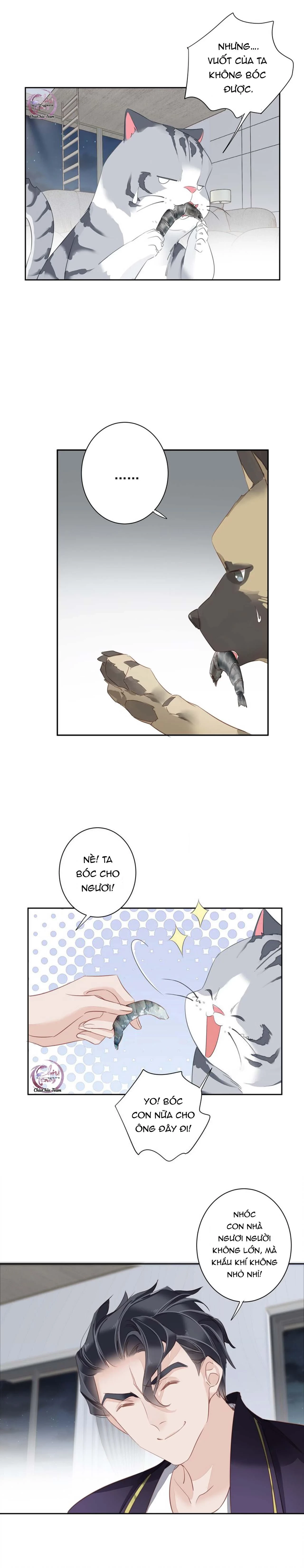 Cuộc Mai Mối Vượt Giống Loài Chapter 54 - 8