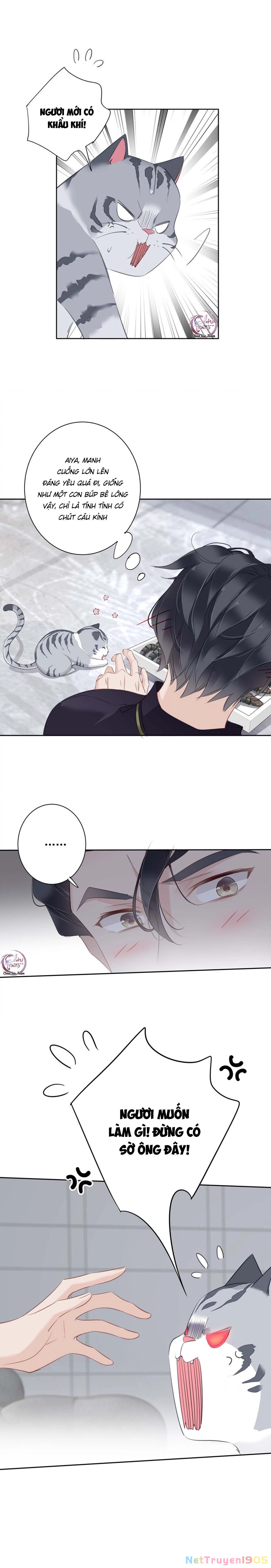 Cuộc Mai Mối Vượt Giống Loài Chapter 54 - 9