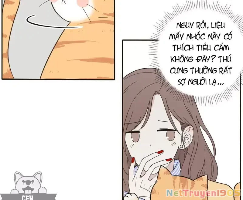 Dương Gian Bách Lý Cẩm Chapter 5 - 16