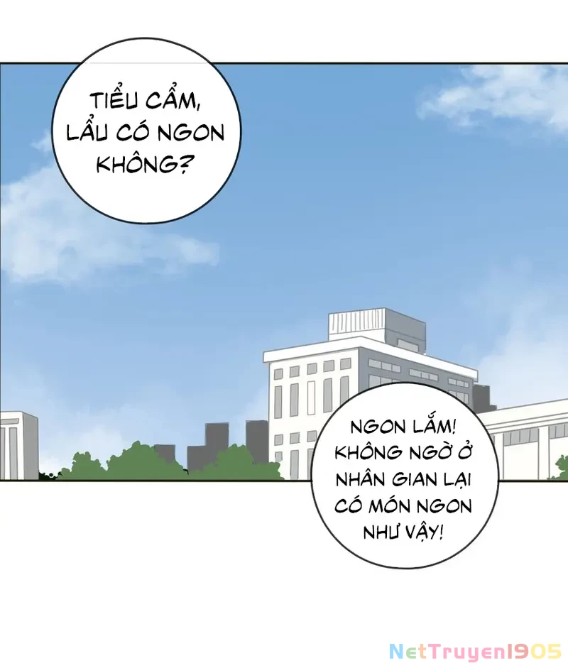 Dương Gian Bách Lý Cẩm Chapter 8 - 18