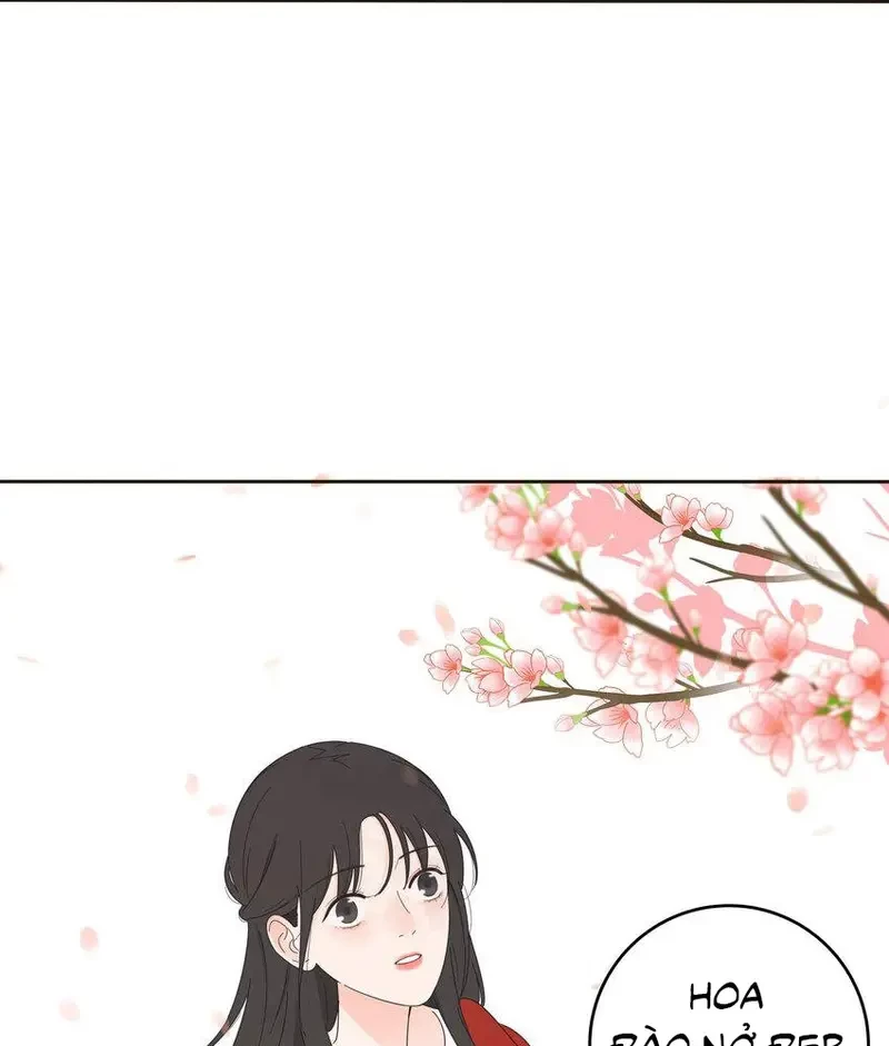 Dương Gian Bách Lý Cẩm Chapter 11 - 31