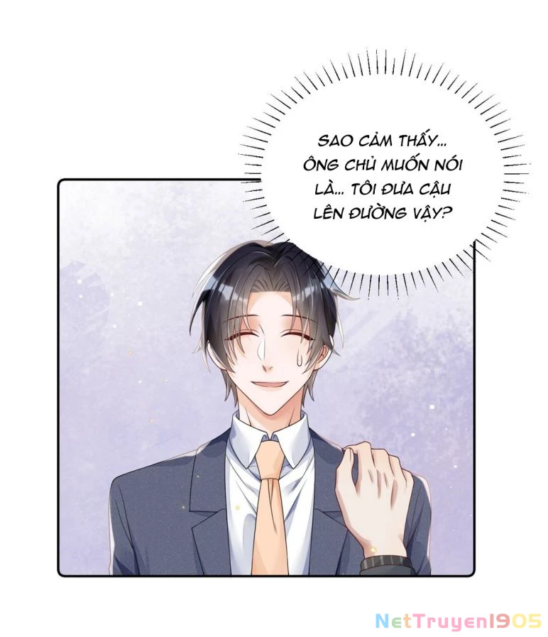 Xuyên Thành Bí Thư Khổ Bức Trong Truyện Bá Tổng Chapter 13 - 19
