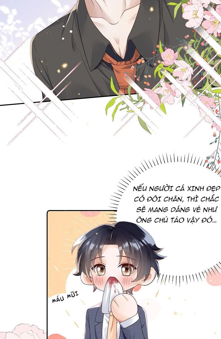 Xuyên Thành Bí Thư Khổ Bức Trong Truyện Bá Tổng Chapter 14 - 20