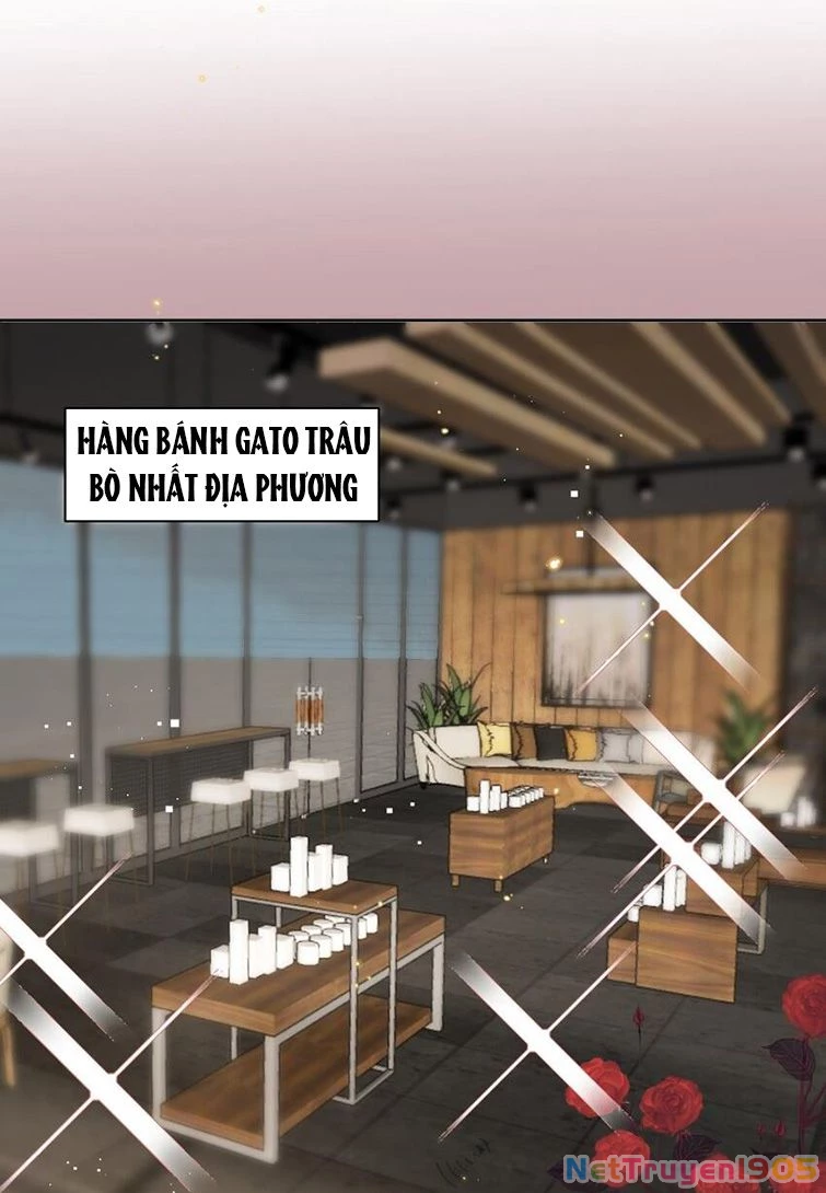 Xuyên Thành Bí Thư Khổ Bức Trong Truyện Bá Tổng Chapter 19 - 31