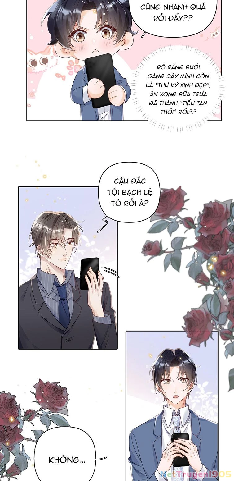 Xuyên Thành Bí Thư Khổ Bức Trong Truyện Bá Tổng Chapter 22 - 28