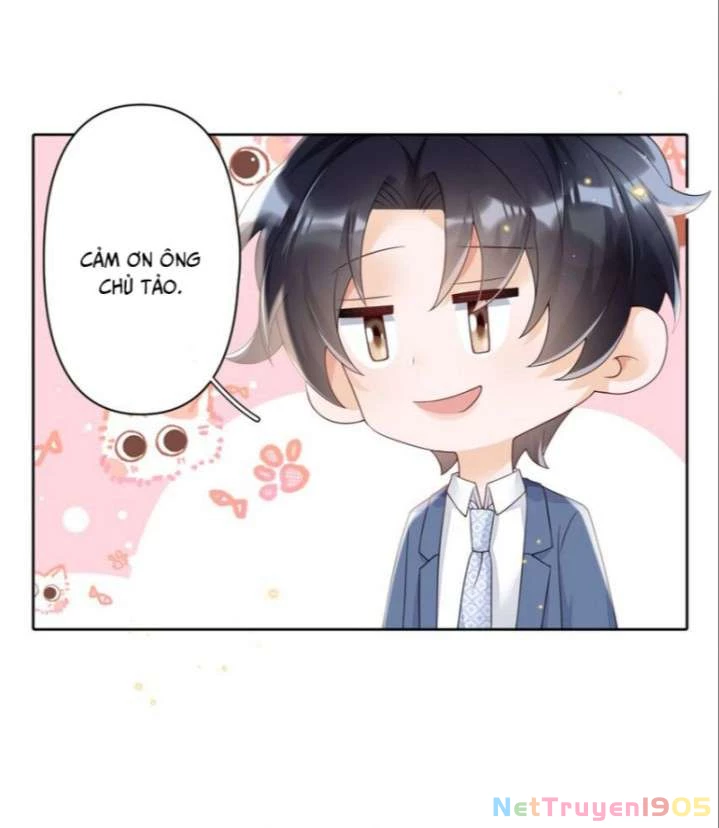 Xuyên Thành Bí Thư Khổ Bức Trong Truyện Bá Tổng Chapter 24 - 19