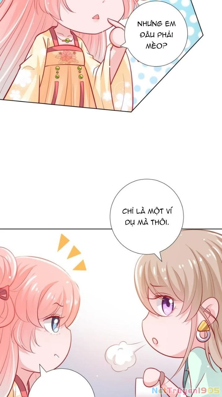 Trợ Lí Vàng Và Cô Ca Sĩ Cấp Thấp Chapter 4 - 9