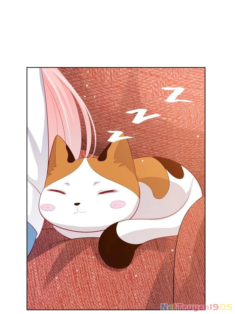 Trợ Lí Vàng Và Cô Ca Sĩ Cấp Thấp Chapter 4 - 55