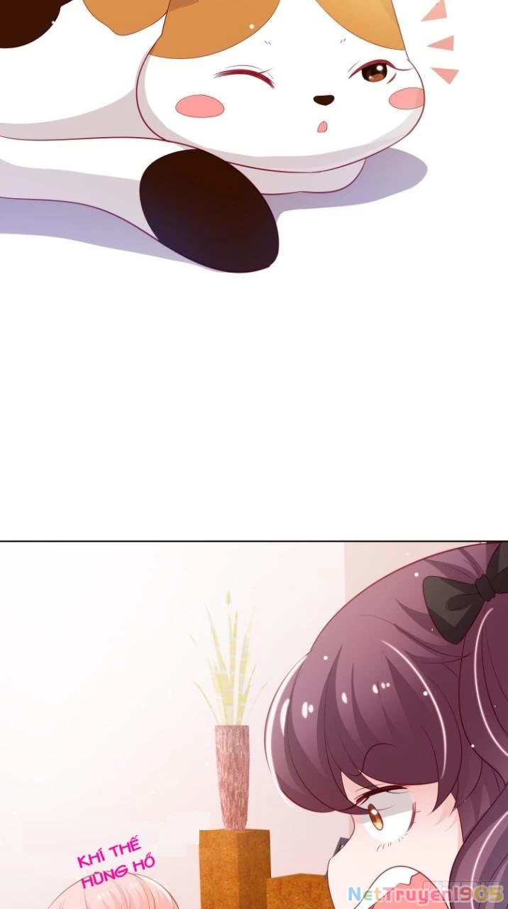 Trợ Lí Vàng Và Cô Ca Sĩ Cấp Thấp Chapter 9 - 28