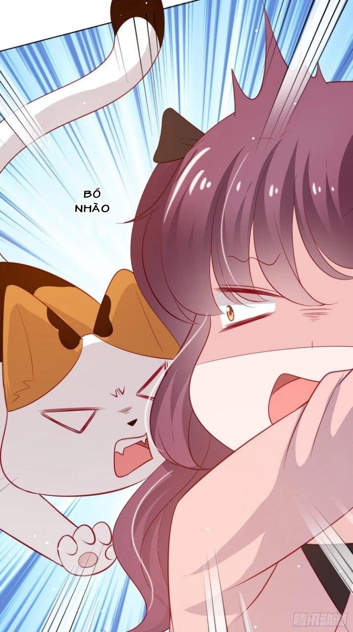 Trợ Lí Vàng Và Cô Ca Sĩ Cấp Thấp Chapter 9 - 31