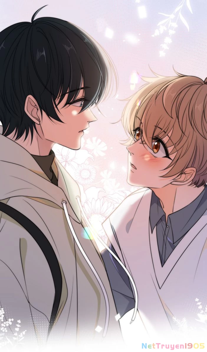 Gió Cung Bên Tai Chapter 11 - 15