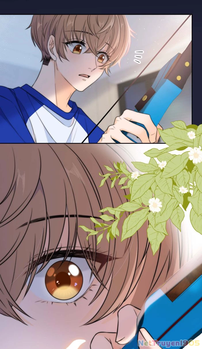 Gió Cung Bên Tai Chapter 15 - 32