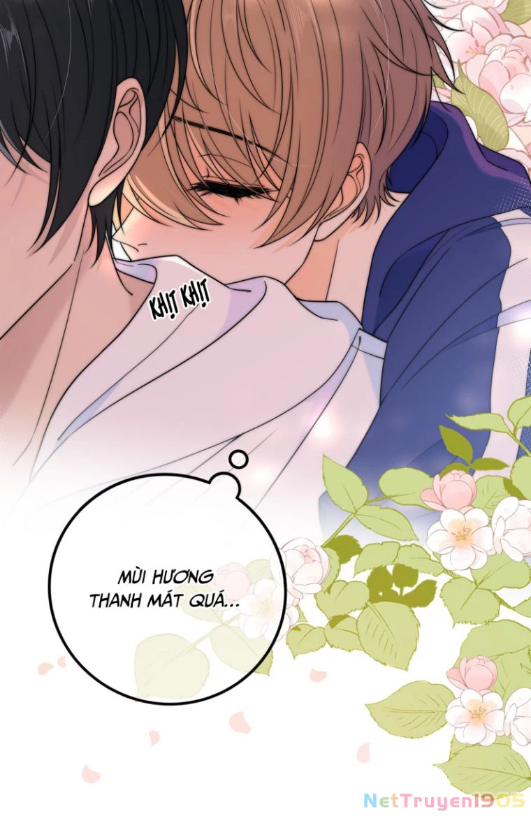 Gió Cung Bên Tai Chapter 23 - 26