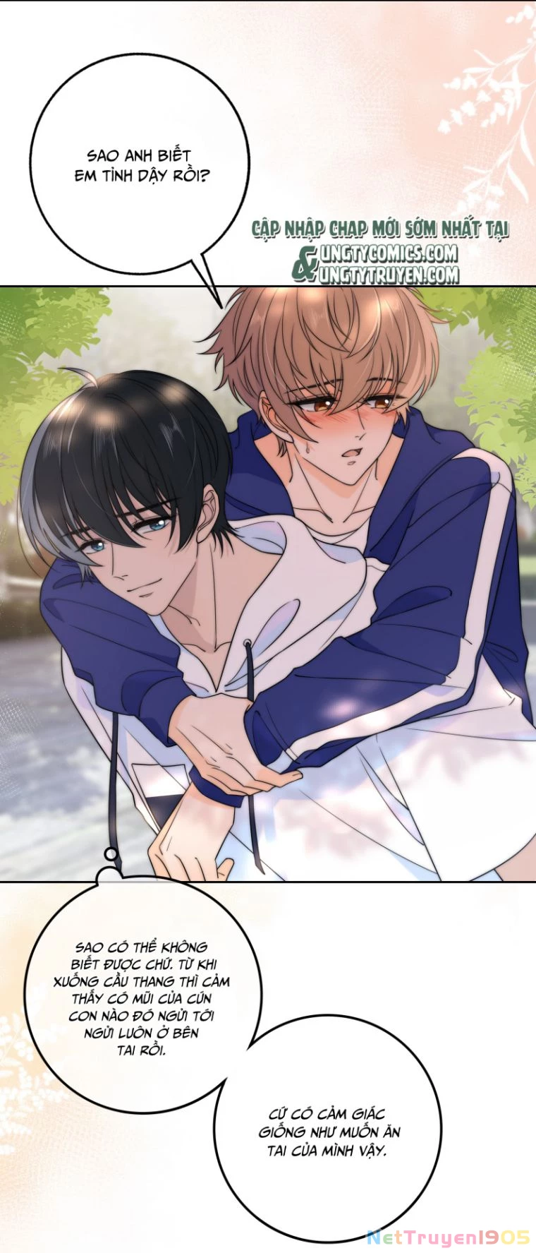 Gió Cung Bên Tai Chapter 23 - 31