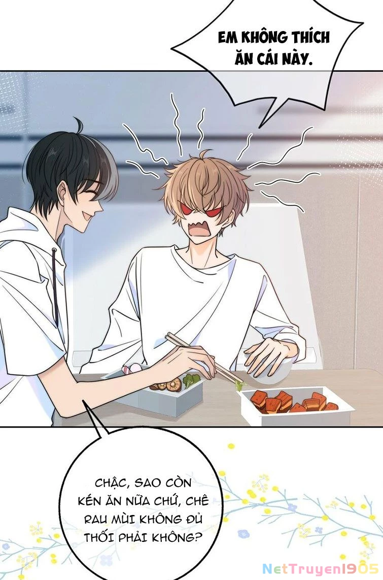 Gió Cung Bên Tai Chapter 26 - 32