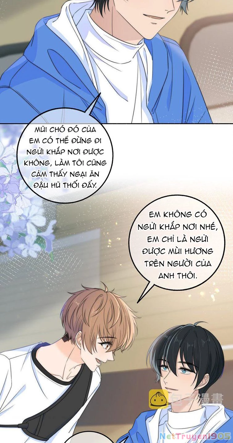 Gió Cung Bên Tai Chapter 33 - 8