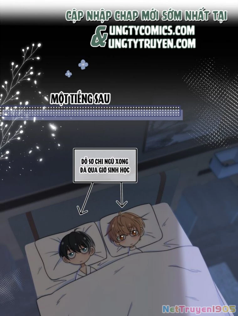 Gió Cung Bên Tai Chapter 37 - 8