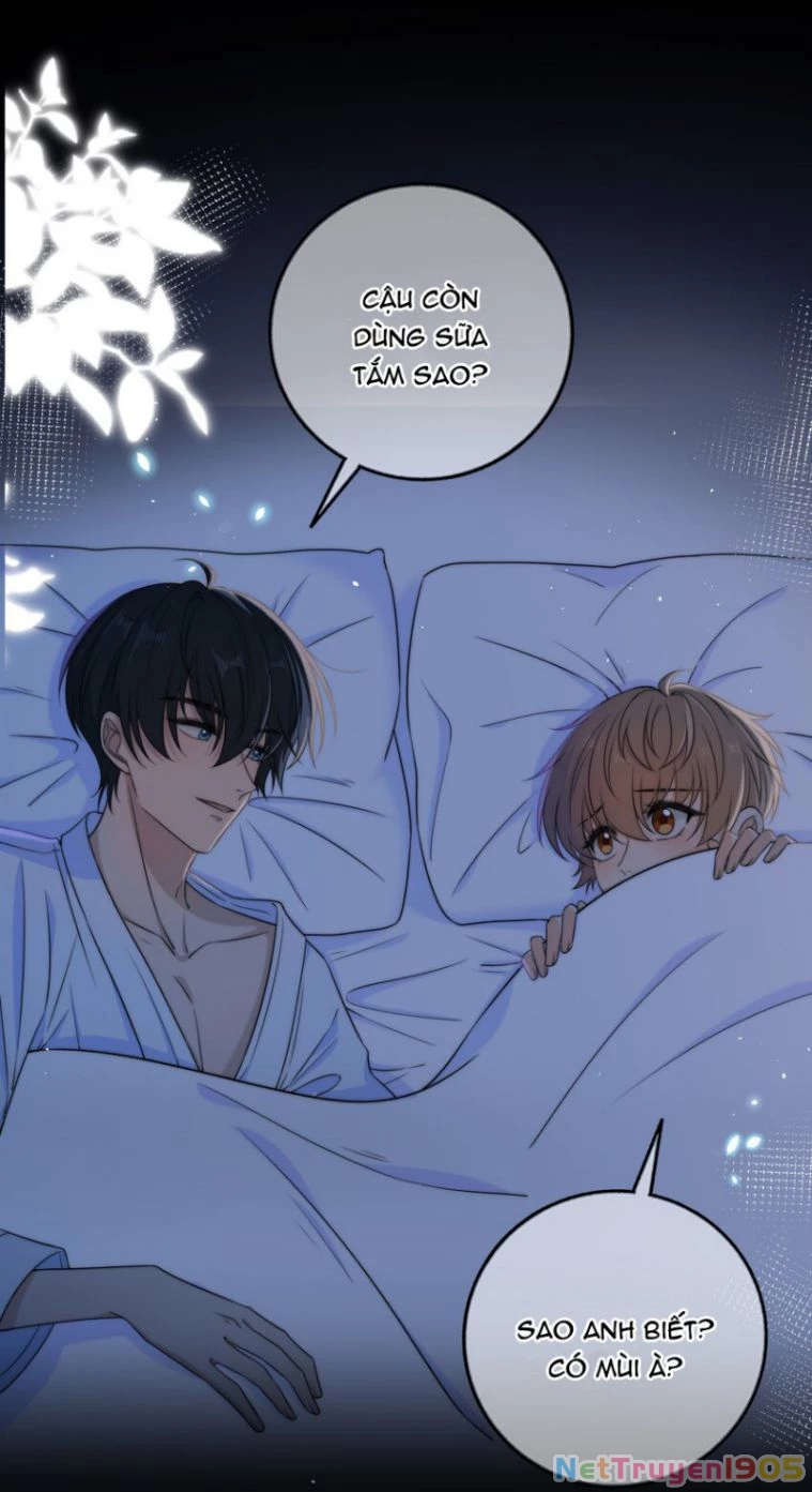 Gió Cung Bên Tai Chapter 37 - 15