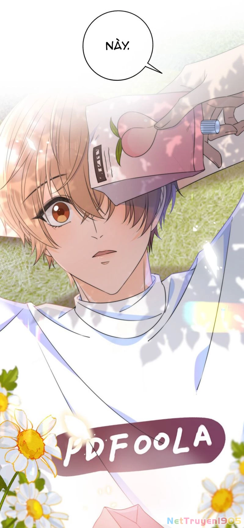 Gió Cung Bên Tai Chapter 38 - 12