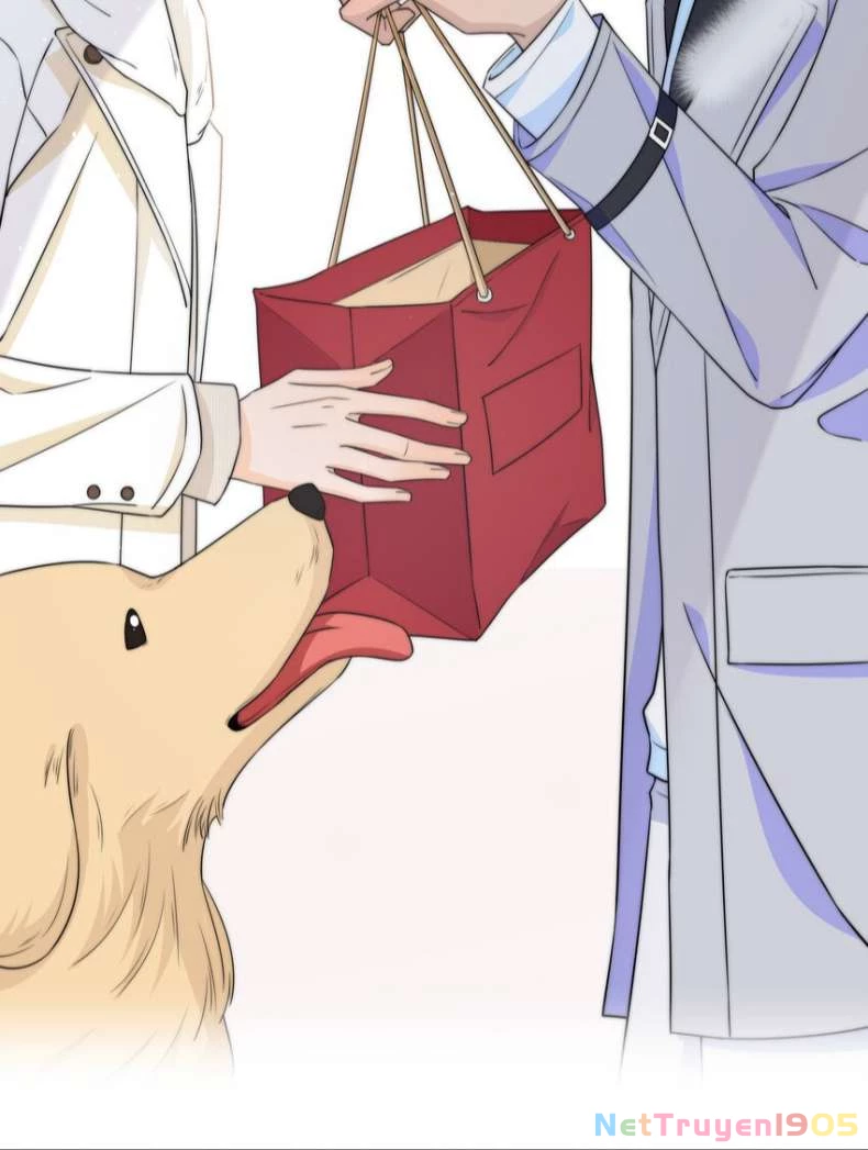 Gió Cung Bên Tai Chapter 41 - 17