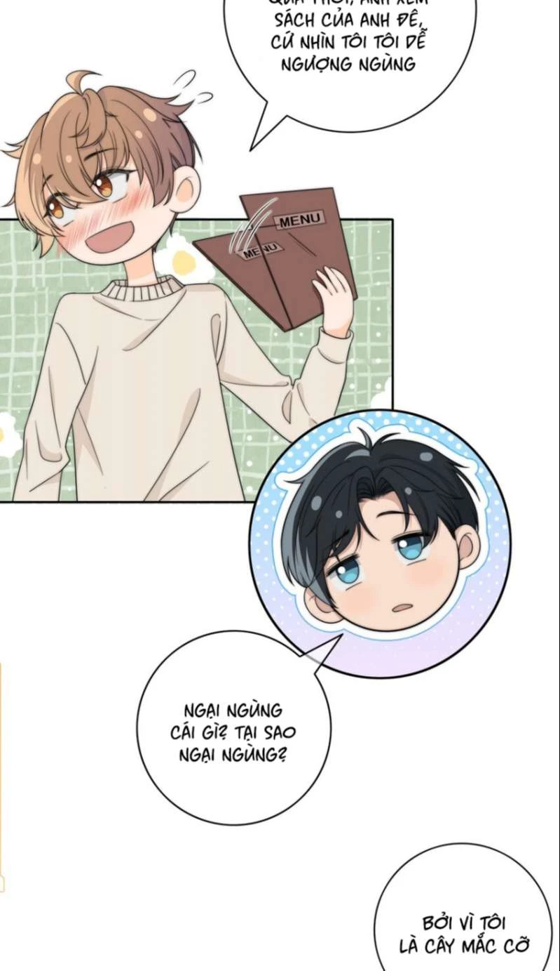 Gió Cung Bên Tai Chapter 43 - 14