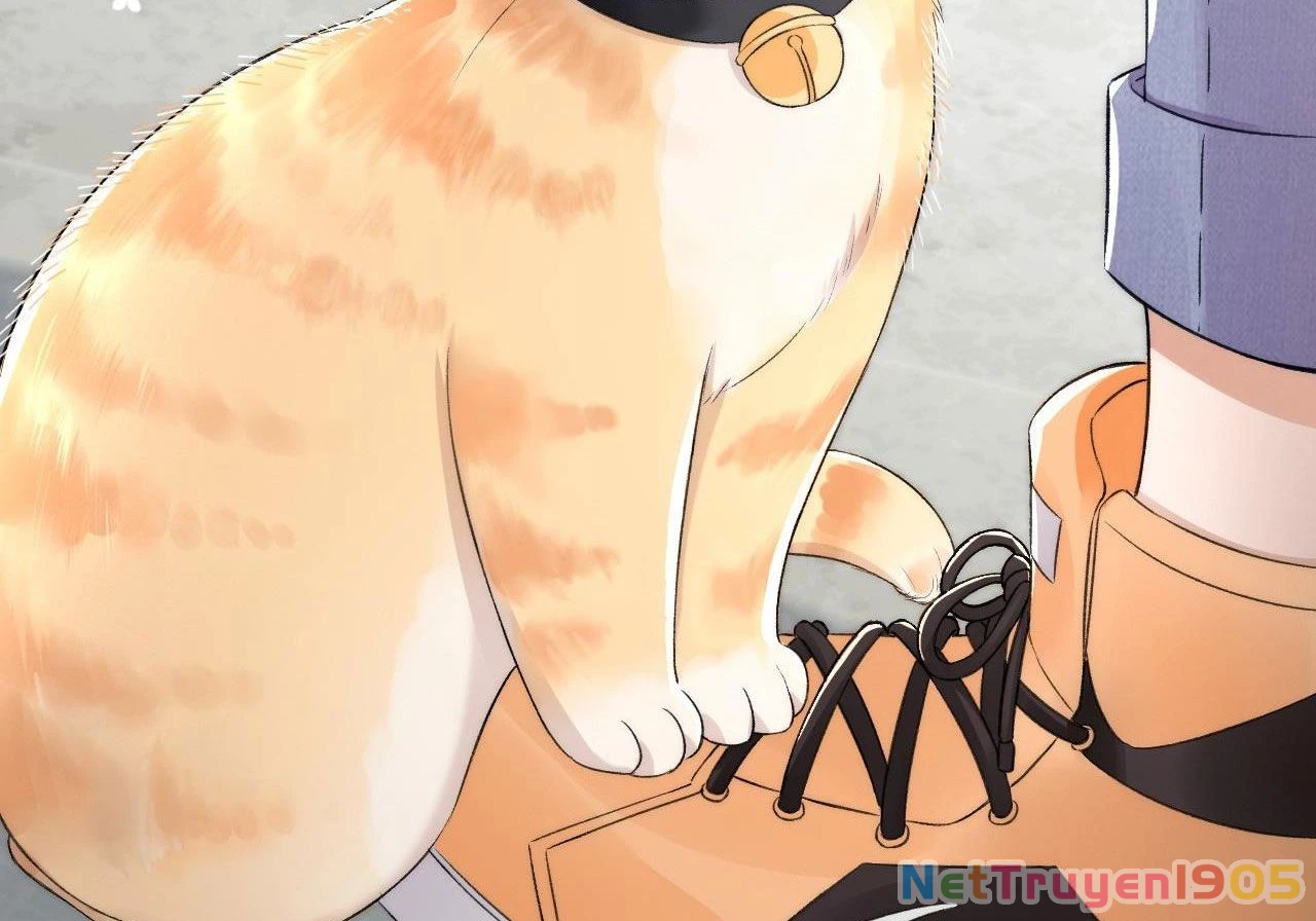 Những Ngày Cùng Tra Công Chính Diện Quyết Đấu Chapter 2 - 28